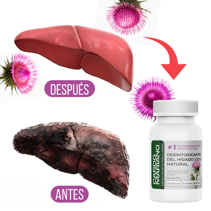 Milk Thistle: Liver Detox & Blood Sugar Levels Support