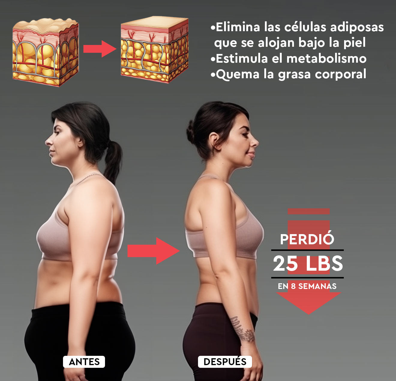 Metarmonía: Suplemento para promover el metabolismo