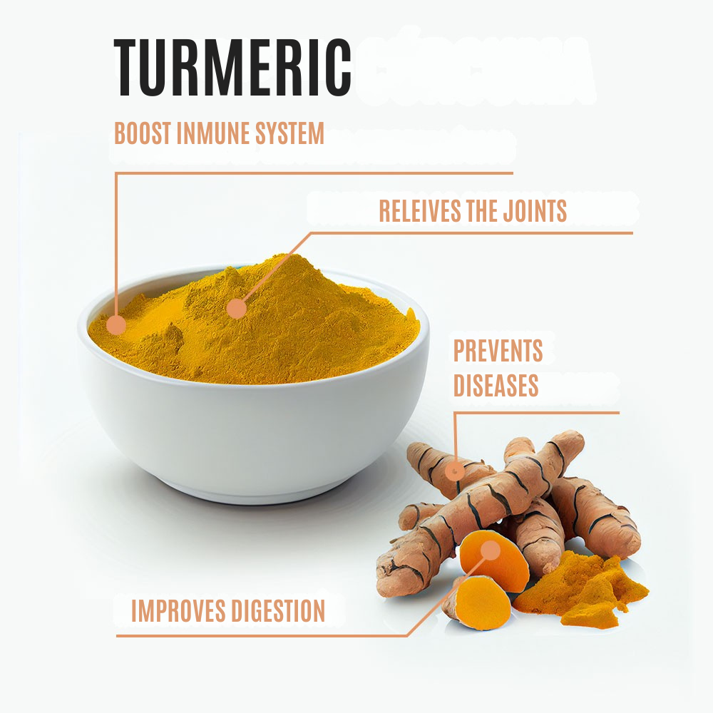 Vita Primes: Turmeric + Black Pepper – The First Step Toward a Pain-Free Body